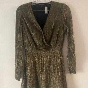 XS Banana Republic Metallic Fit and Flare Dress with Sheer sleeves NEW
